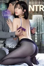Tunanganku Tercinta Selingkuh dengan Mantan Pacarku – Karen Kaede